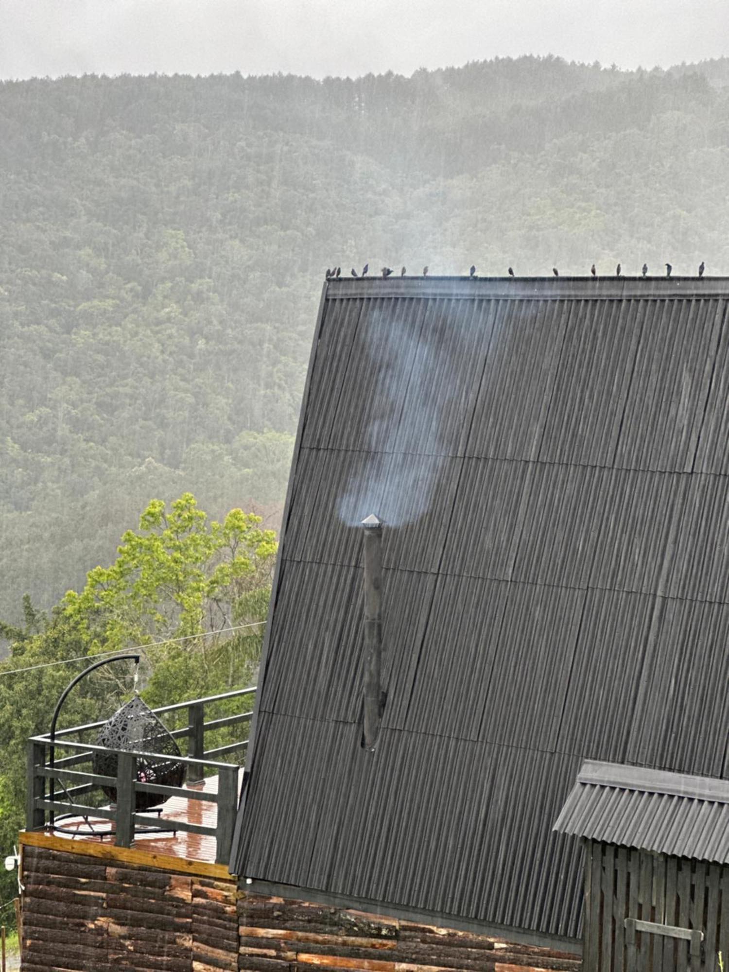 Chales O Refugio アウフレド・ヴァギネル エクステリア 写真